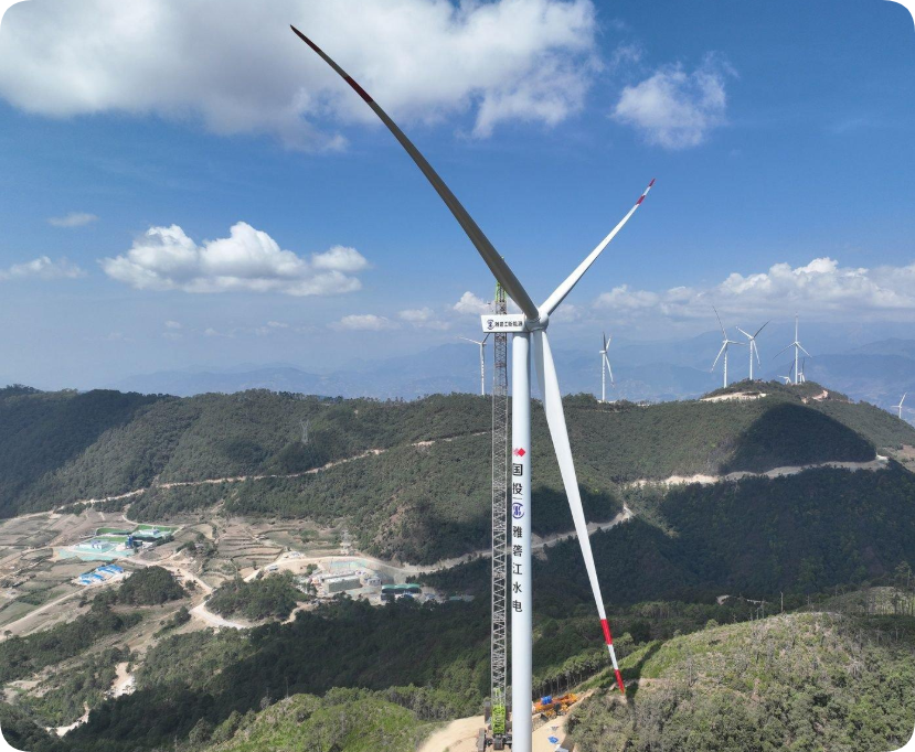 贵州某企业项目